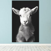 Serene Monochromatic Baby Goat Portrait Leinwanddruck (Insitu (Holzboden))
