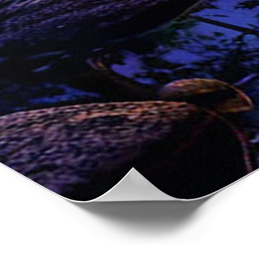 Serene Mountain Landschaft mit See Poster (Ecke)