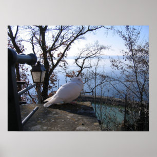 Serene Overlook Poster