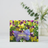 Serene Pansy Postcard Postkarte (Stehend Vorderseite)