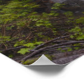 Serene Poster (Ecke)