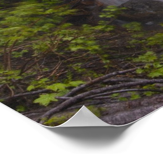 Serene Poster (Ecke)