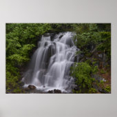 Serene Poster (Vorne)