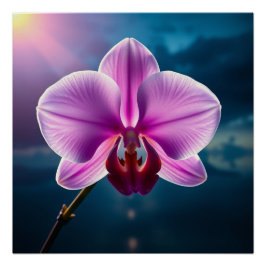 serene purple flower poster