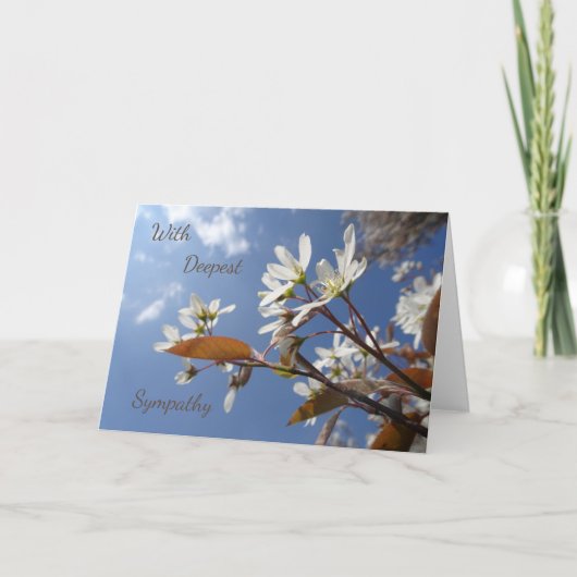 Serene Raisin Blossom Sympathy Greeting Card Karte (Vorderseite)