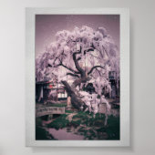 Serene Sakura Tree Poster (Vorne)