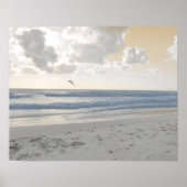Serene Sea Poster (Vorne)