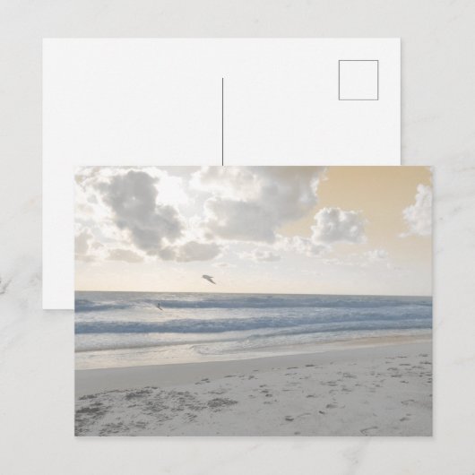 Serene Sea Postkarte (Vorne/Hinten)