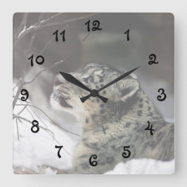 Serene Snow Leopard Quadratische Wanduhr
