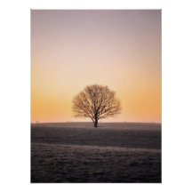 Serene Solitude: Winter Sunrise Lone Tree - Minima