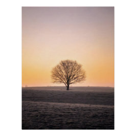 Serene Solitude: Winter Sunrise Lone Tree - Minima Poster