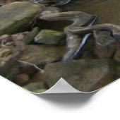 Serene Stream Poster (Ecke)
