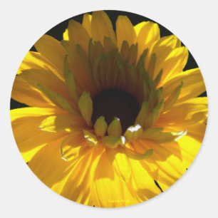 Serene Sunflower Runder Aufkleber