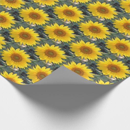 Serene Sunflowers Geschenkpapier (Ecke)