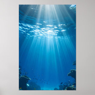 Serene Sunlit Coral Reef Poster