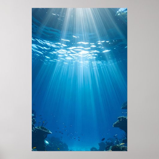 Serene Sunlit Coral Reef Poster (Vorne)