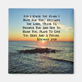 SERENE SUNRISE JEREMIAH 29:11 SCRIPTURE DESIGN MAGNET (Vorne)