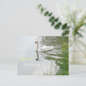 Serene Swan & Dragonfly Beileid Postkarte (Stehend Vorderseite)