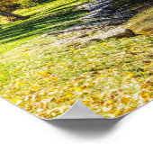 Serene Szene an der Dogwood-Bucht Poster (Ecke)