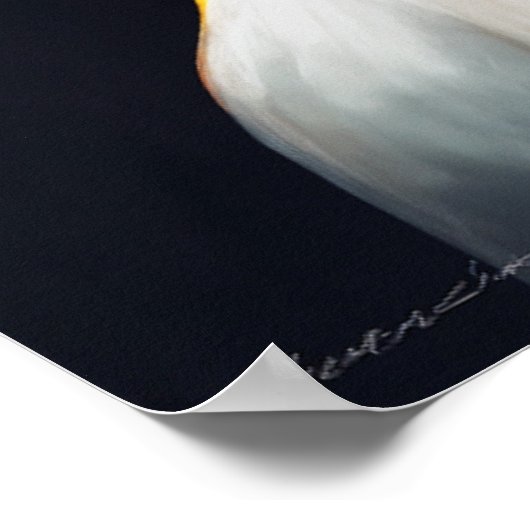 Serene und Atemberaubend: Eine Lady-Blick nach lin Poster (Ecke)