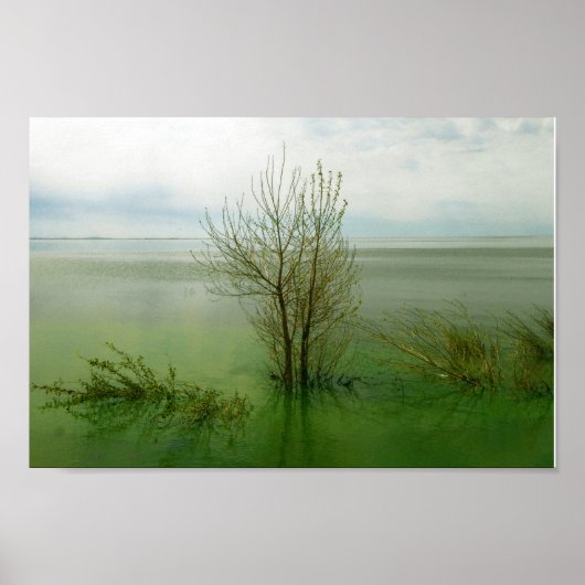 Serene Waterscape Landscape Poster (Vorne)