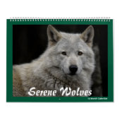 Serene Wolves Kalender (Titelbild)
