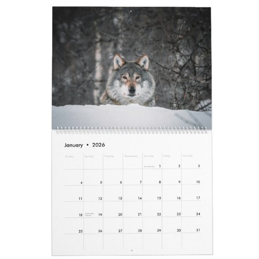 Serene Wolves Kalender (Jan 2026)