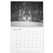 Serene Wolves Kalender (Jan 2027)
