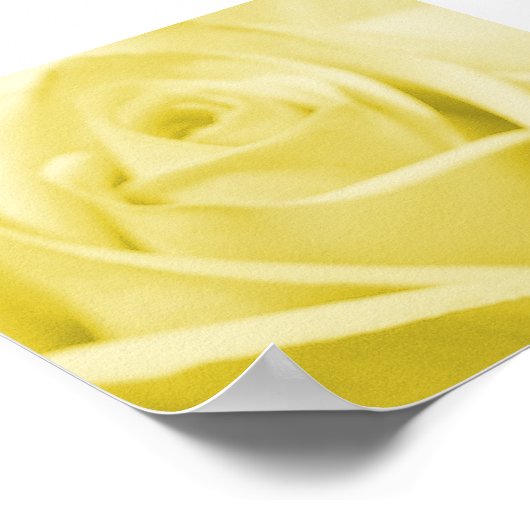 Serene Yellow Rose - Poster/Print Poster (Ecke)
