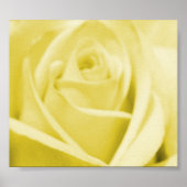 Serene Yellow Rose - Poster/Print Poster (Vorne)
