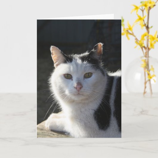 SereneCat Karte (Gelbe Blume)