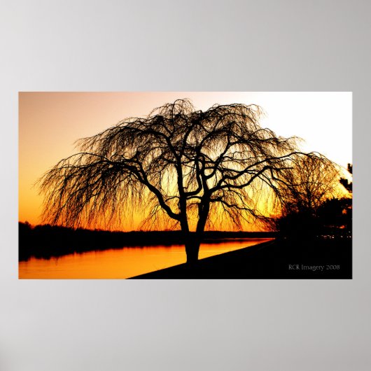 Serengeti in der Stadt Poster (Vorne)