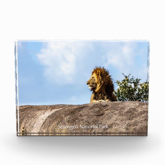 Serengeti-Nationalpark Fotoblock (Vorderseite)
