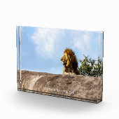 Serengeti-Nationalpark Fotoblock (Rechts)