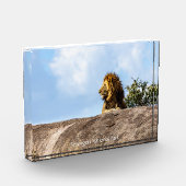 Serengeti-Nationalpark Fotoblock (Links)