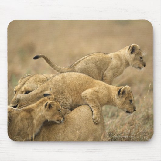 Serengeti-Nationalpark, Tansania 2 Mousepad (Vorne)