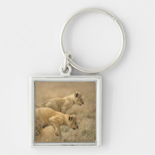 Serengeti Nationalpark, Tansania 2 Schlüsselanhänger