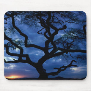 Serengeti-Nationalpark, Tansania Mousepad