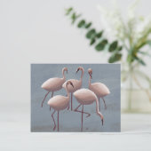 Serengeti Pink Flamingos | Safari wild Postkarte (Stehend Vorderseite)
