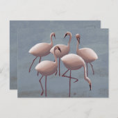 Serengeti Pink Flamingos | Safari wild Postkarte (Vorne/Hinten)