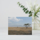 Serengeti Plains Postkarte (Stehend Vorderseite)