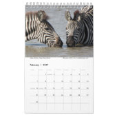 Serengeti soll nicht die Kalender (Feb 2027)