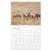 Serengeti soll nicht die Kalender (Mär 2026)