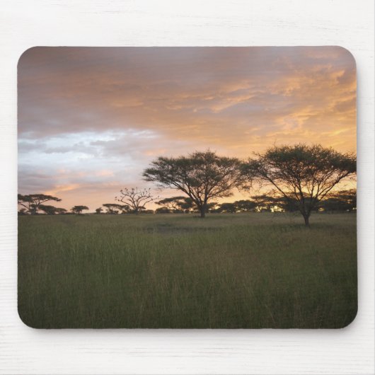 Serengeti Sonnenuntergang Mousepad (Vorne)