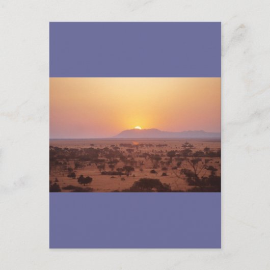 Serengeti Sonnenuntergang Postkarte (Vorderseite)