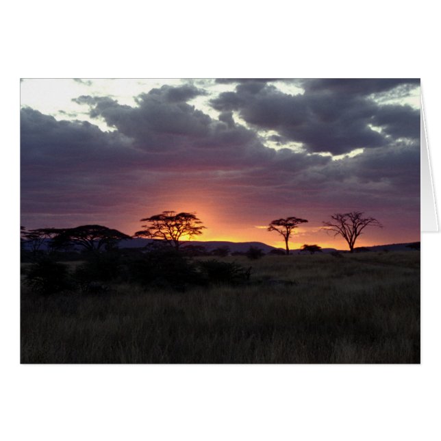 Serengeti_Sunset (Vorderseite (Horizontal))