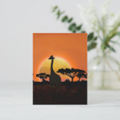 Serengeti Sunset Giraffe | Safari wild Postkarte (Stehend Vorderseite)