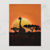 Serengeti Sunset Giraffe | Safari wild Postkarte (Vorderseite)