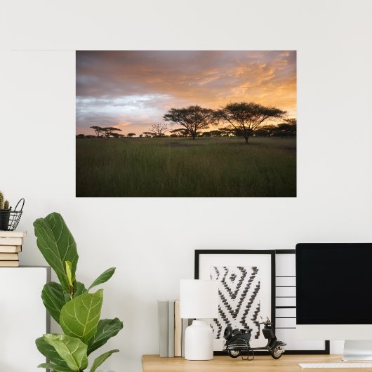 Serengeti Sunset Poster (Heimbüro)