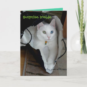 Serenity Bagged Holiday card Feiertagskarte